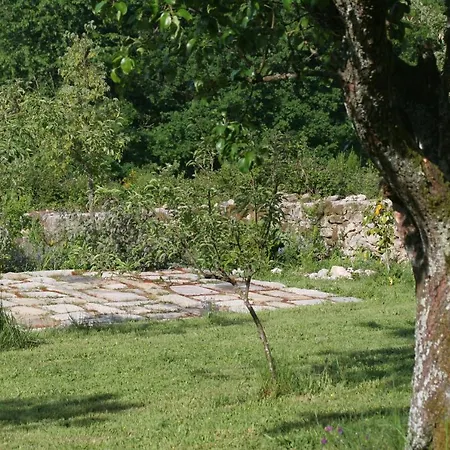 Pazo De Chaioso Ribeira Sacra Bed & Breakfast 4*