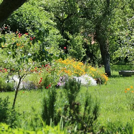 Bed & Breakfast Pazo De Chaioso Ribeira Sacra Maceda