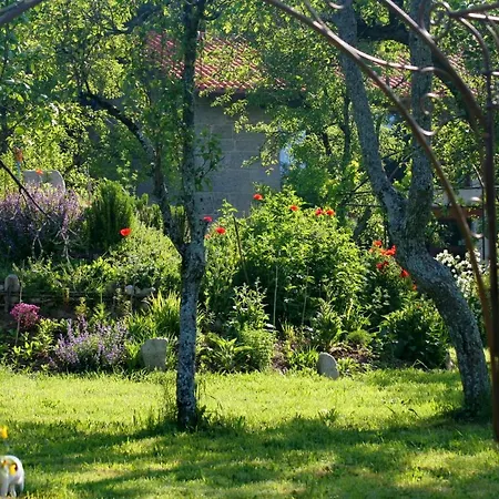 Pazo De Chaioso Ribeira Sacra Bed & Breakfast
