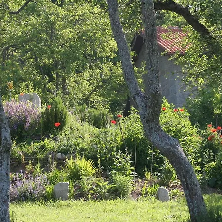 Pazo De Chaioso Ribeira Sacra Maceda