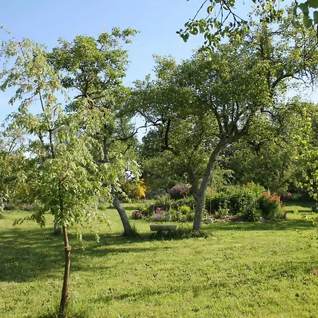 Bed & Breakfast Pazo De Chaioso Ribeira Sacra 4*