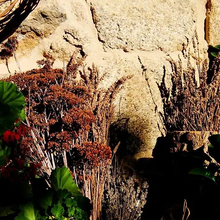 Pazo De Chaioso Ribeira Sacra Bed & Breakfast 4*