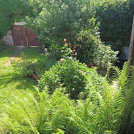Pazo De Chaioso Ribeira Sacra Bed & Breakfast
