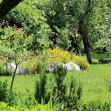 Pazo De Chaioso Ribeira Sacra Maceda