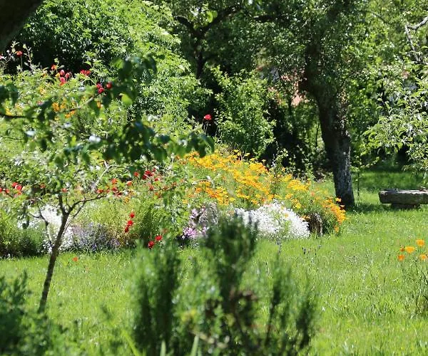 Bed & Breakfast Pazo De Chaioso Ribeira Sacra Maceda
