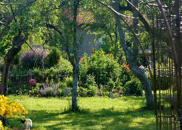 Pazo De Chaioso Ribeira Sacra Bed & Breakfast
