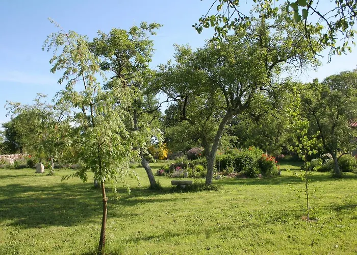 Bed & Breakfast Pazo De Chaioso Ribeira Sacra 4*