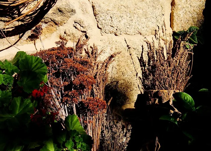 Pazo De Chaioso Ribeira Sacra Bed & Breakfast 4*